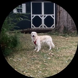 Meet your Posher, Terah